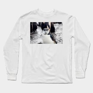 Wild life design Long Sleeve T-Shirt